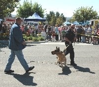 K-9 Demonstration