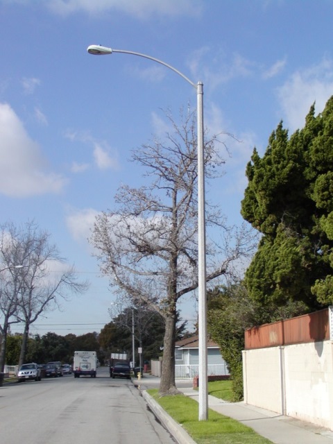 City Streetlight