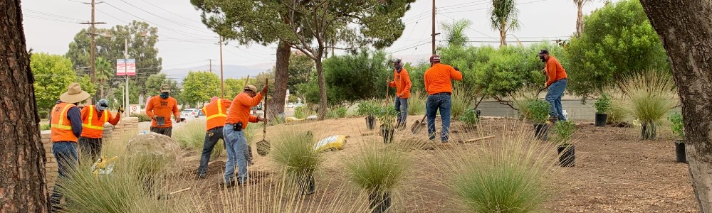 Workers updating Welcome Corner