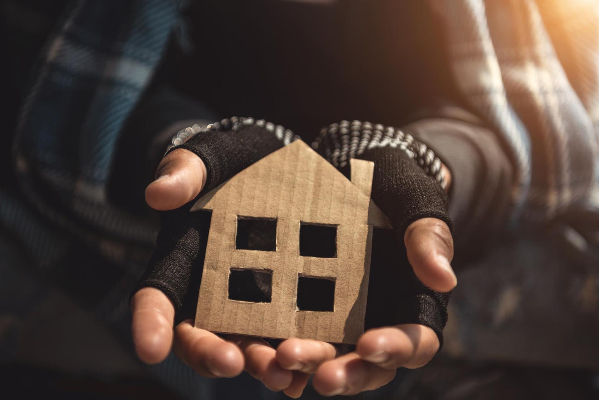 Person holding cardboard cutout of a house