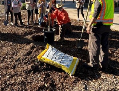 City employee kneeling down showing Girl Scouts how to plant a tree