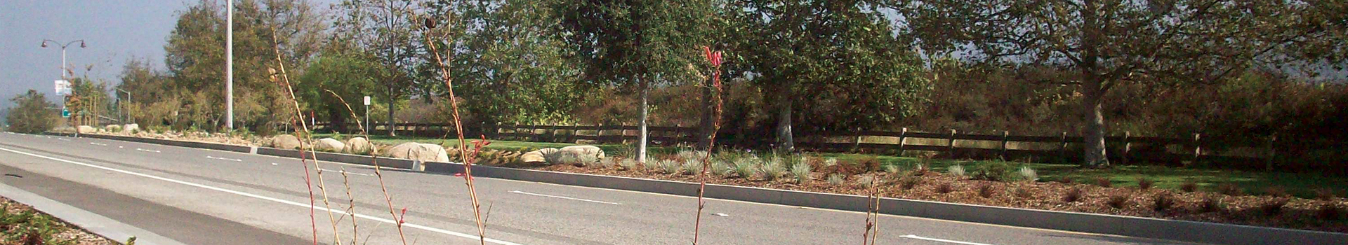 Image of Public Works Streets and Drought Tolerant Landscaping