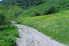 Las Lajas Canyon