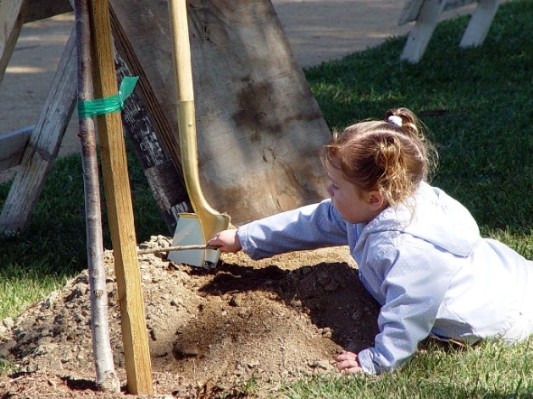 Child planting tree